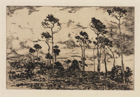 KG 09448
<br/>
Hakhout laden
<br/>
<em>Zwart, Willem de (1862-1931)</em>